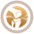 ico5