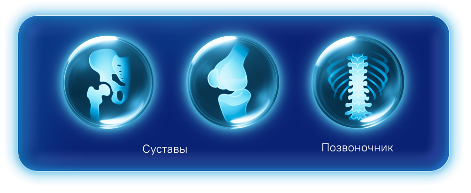 суставы