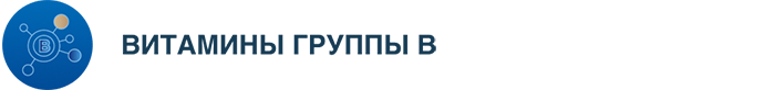 vit_b