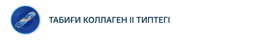 Табиғи коллаген Ii типтегі